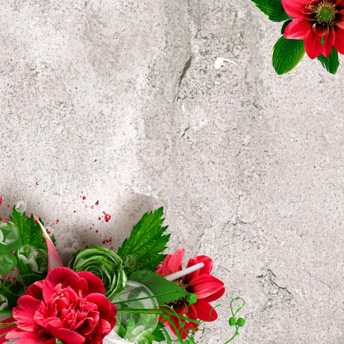Каталог Фотообои цветы на бетоне:  | Wall-Style
