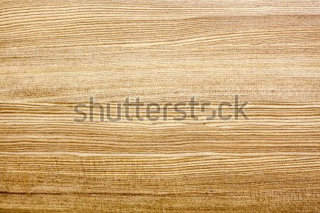 Каталог Фотообои дерево:  | Wall-Style