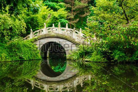 Каталог Фотообои парк:  | Wall-Style