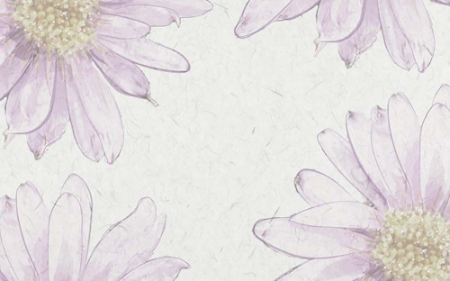 Каталог Фотообои ромашки:  | Wall-Style