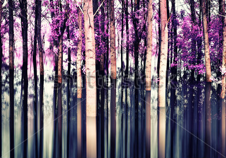 Каталог Фотообои лес:  | Wall-Style