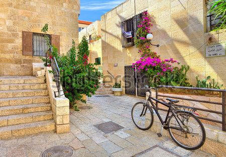 Каталог Фотообои дворик:  | Wall-Style