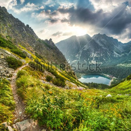 Каталог Картина горы: Природа | Wall-Style