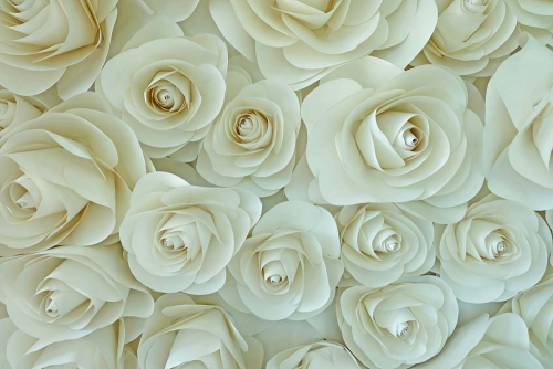 Каталог Фотообои белые бумажные розы:  | Wall-Style