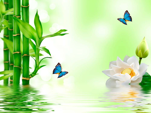 Каталог Фотообои бамбук в воде:  | Wall-Style