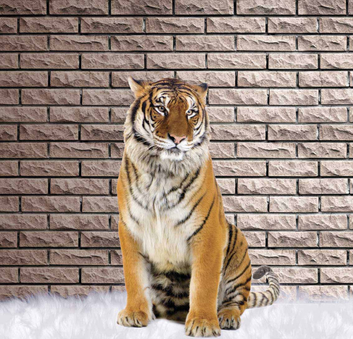 Каталог Картина тигр на фоне стены: Животные | Wall-Style