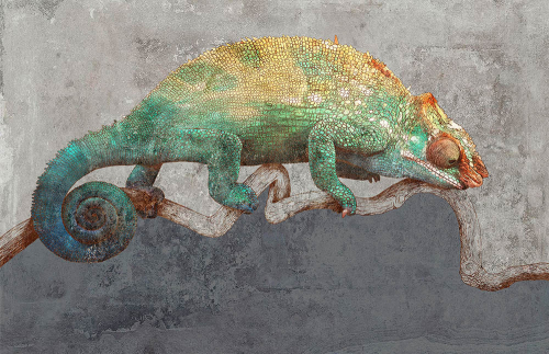 Каталог Фотообои рисованный хамелеон:  | Wall-Style