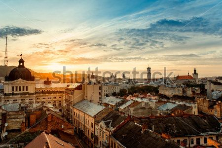 Каталог Фотообои львов:  | Wall-Style