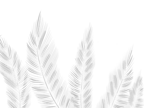 Каталог Фотообои белые листья:  | Wall-Style