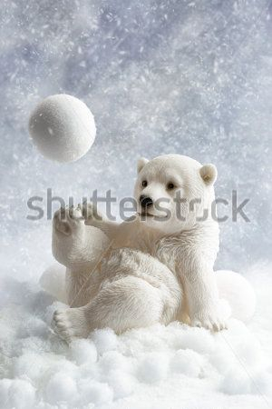 Каталог Картина белый медведь: Животные | Wall-Style