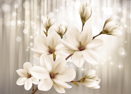 Магнолии на ветке