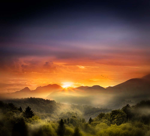 Каталог Фотообои летний лес в тумане:  | Wall-Style