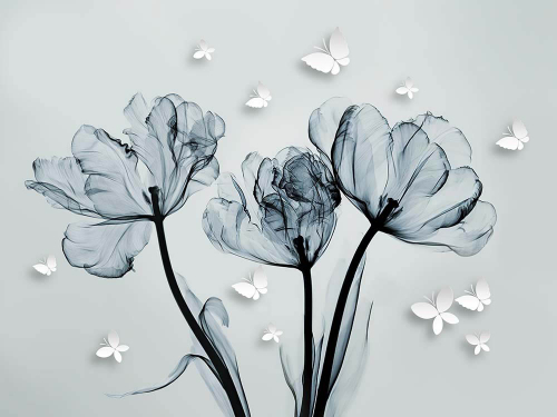 Каталог Картина распущенные тюльпаны: Цветы и растения | Wall-Style