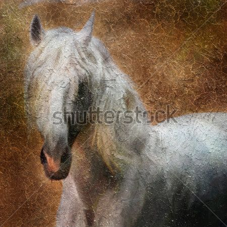 Каталог Фотообои лошадь:  | Wall-Style
