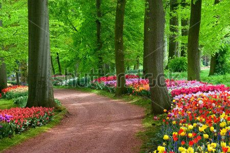 Каталог Картина парк: Природа | Wall-Style