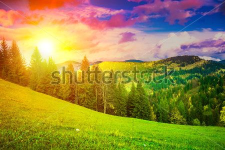 Каталог Фотообои лес:  | Wall-Style