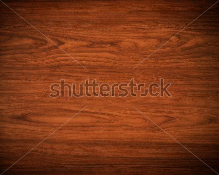 Каталог Фотообои дерево:  | Wall-Style