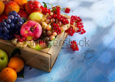 Каталог Фотообои фрукты:  | Wall-Style