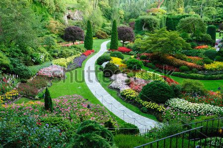 Каталог Фотообои парк:  | Wall-Style