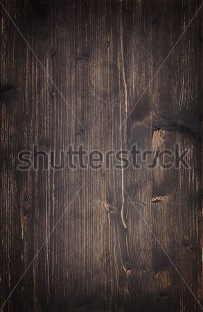 Каталог Фотообои дерево:  | Wall-Style