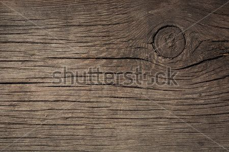 Каталог Картина дерево: Фоны и текстуры | Wall-Style