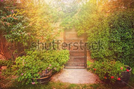 Каталог Фотообои парк:  | Wall-Style