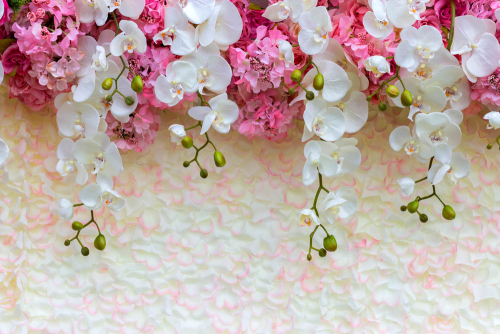 Каталог Фотообои белые орхидеи на лепестках:  | Wall-Style
