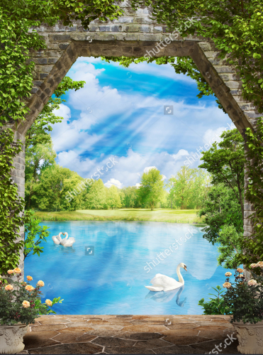 Каталог Фотообои лебеди на пруду:  | Wall-Style