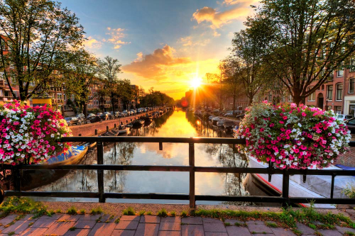 Каталог Картина амстердам: Города | Wall-Style