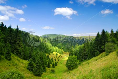 Каталог Фотообои горная поляна:  | Wall-Style