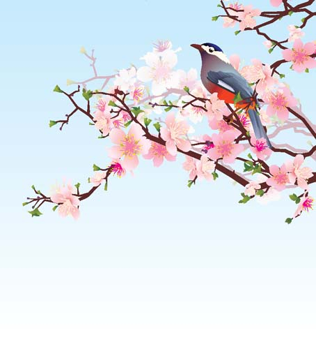 Каталог Картина цветущая сакура с птицей: Цветы и растения | Wall-Style