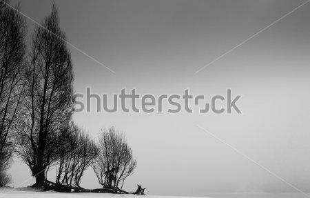 Каталог Фотообои деревья:  | Wall-Style