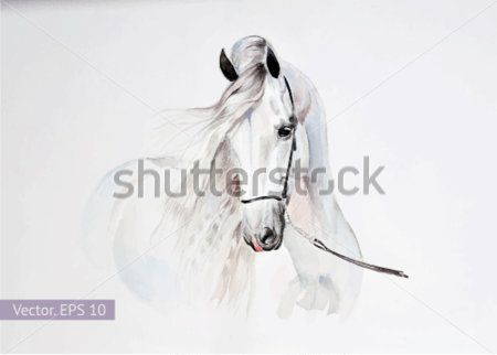 Каталог Фотообои лошадь:  | Wall-Style