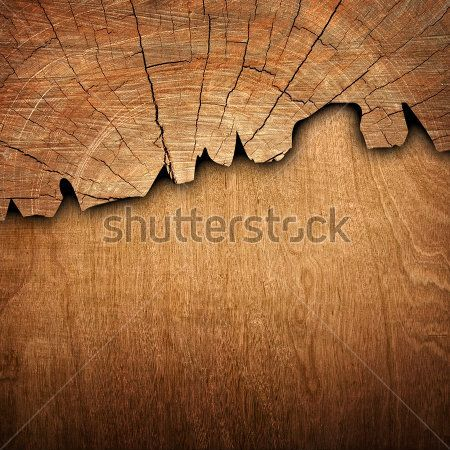 Каталог Фотообои дерево:  | Wall-Style