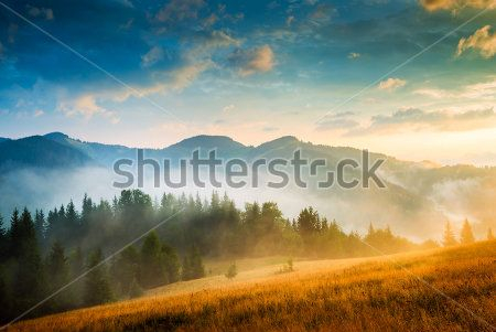Каталог Картина пейзаж: Природа | Wall-Style