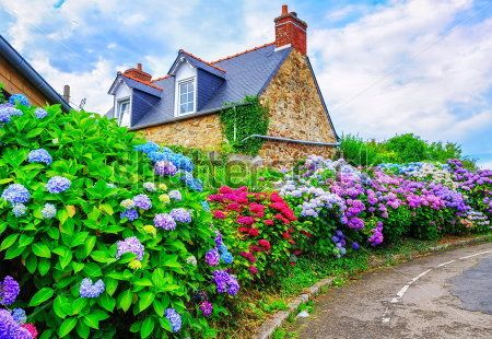 Каталог Картина улочка: Старый город | Wall-Style
