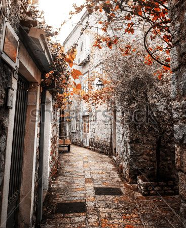 Каталог Картина улица: Старый город | Wall-Style