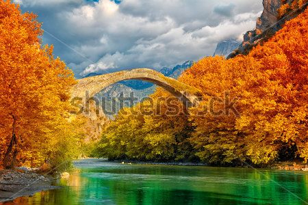 Каталог Фотообои лес:  | Wall-Style