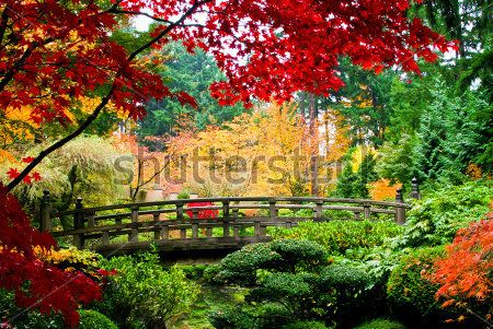 Каталог Фотообои парк:  | Wall-Style