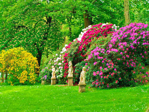 Каталог Фотообои скульптуры в саду:  | Wall-Style