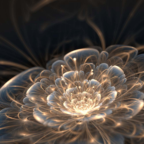 Каталог Фотообои 3d цветок:  | Wall-Style