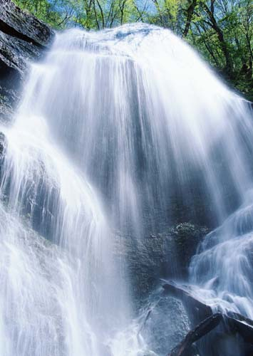 Каталог Фотообои высокий водопад:  | Wall-Style