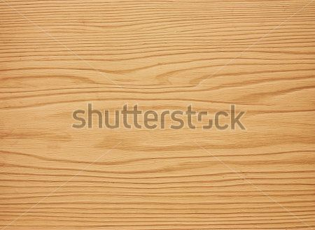 Каталог Фотообои дерево:  | Wall-Style