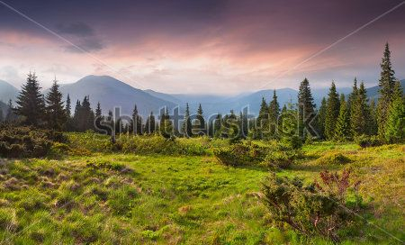 Каталог Картина горы: Природа | Wall-Style