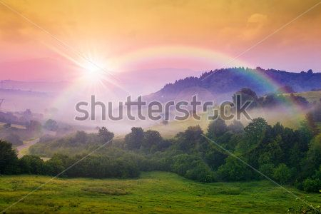 Каталог Картина поле: Природа | Wall-Style