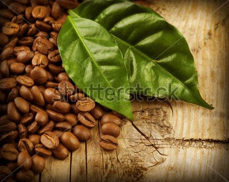 Каталог Фотообои кофейные зерна:  | Wall-Style