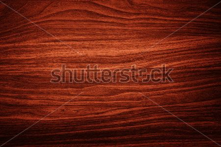 Каталог Фотообои дерево:  | Wall-Style
