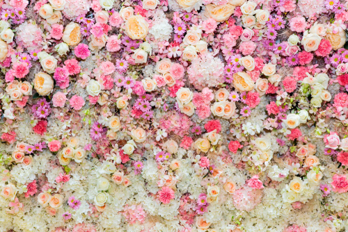 Каталог Картина мелкие розы: Цветы и растения | Wall-Style