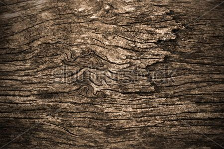 Каталог Картина кора: Фоны и текстуры | Wall-Style