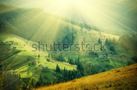 Каталог Картина поле: Природа | Wall-Style